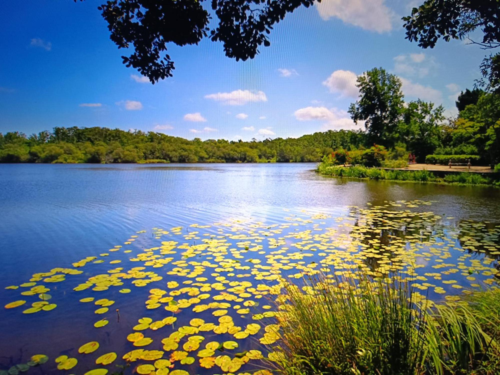 Vacances Dans Les Landes Aureilhan  Exterior photo